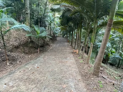 Terreno comercial Centro - Camboriú