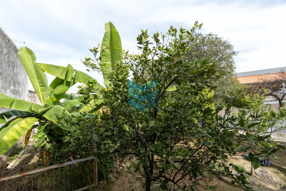Terreno Vila Barão - Sorocaba - foto 4