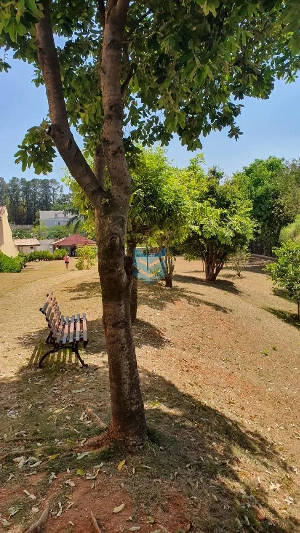 Pérola - Sorocaba