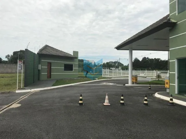 Flores - Sorocaba