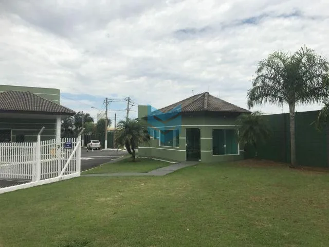 Flores - Sorocaba