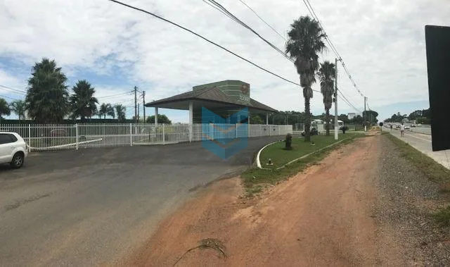Flores - Sorocaba