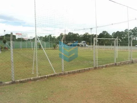 Flores - Sorocaba