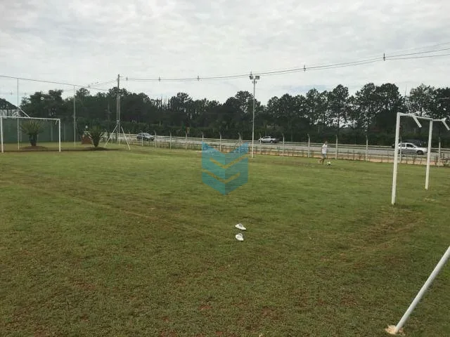 Flores - Sorocaba