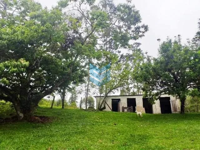 Chácara 4 quartos Do Turvo - Tapiraí - foto 5